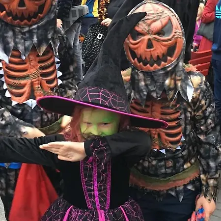 Apartman Ringrone 1st Floor Apartment, With Step Access Only